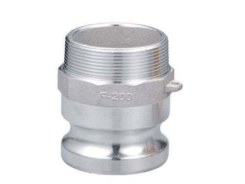 Adaptor x Male NPT Stainless Steel Type F